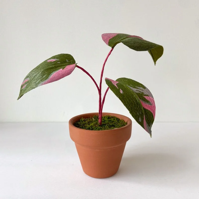 Buy Beautiful Crepe Paper Pink Princess Philodendron High-Quality Craft  Flowers  PAPERCRAFT MIRACLES LLC