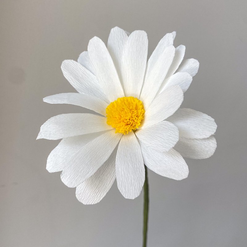 Paper Daisy Flowers