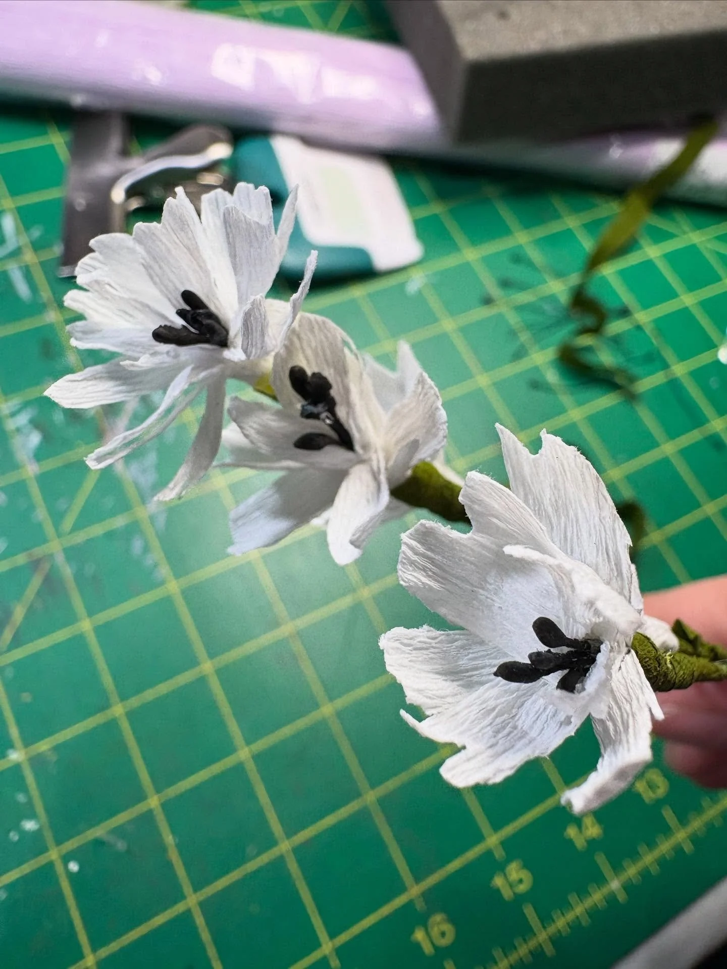 Any guesses what flower these are for???
#paperflowers