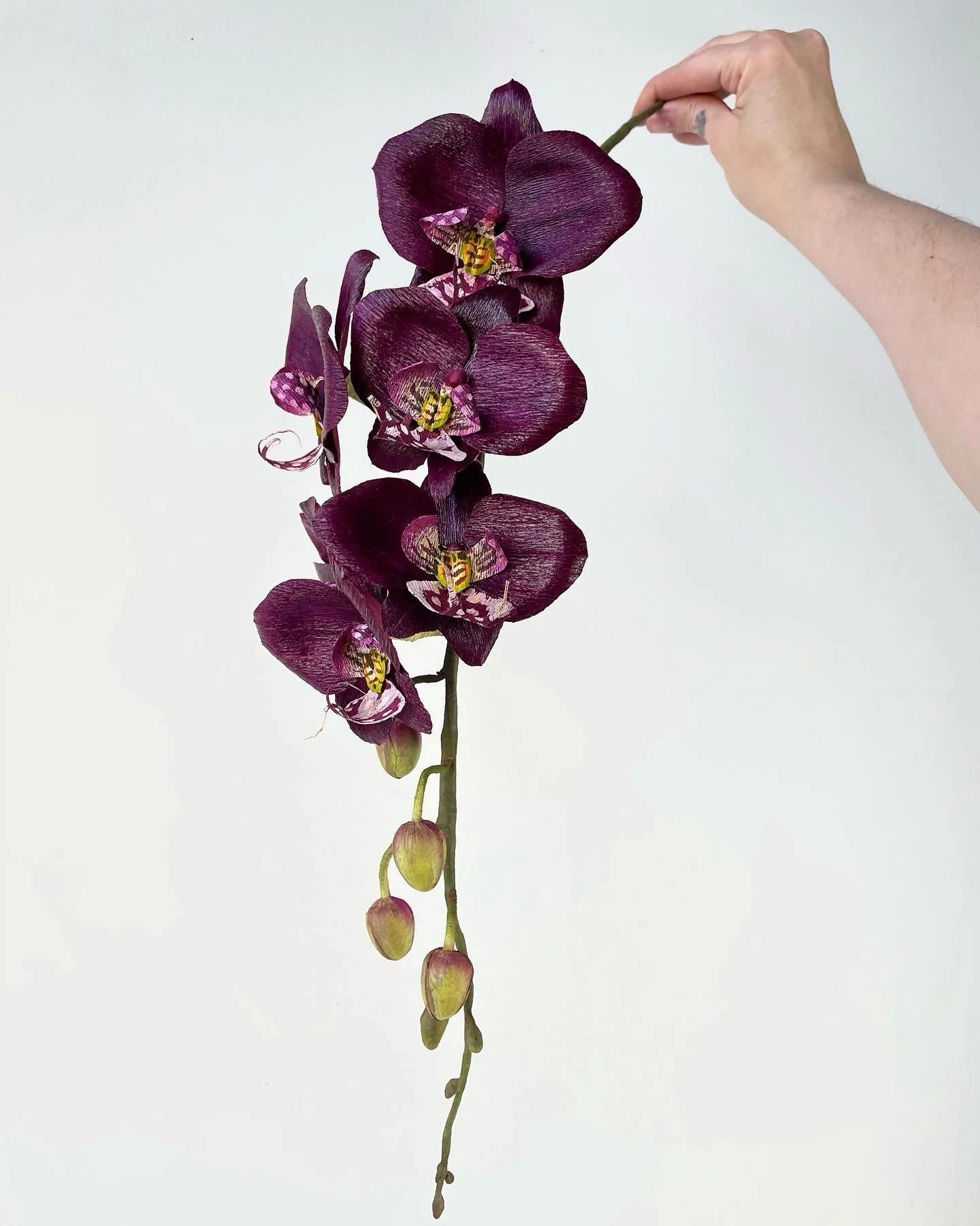 In this winter that won&rsquo;t end, I give you some of my all time favorite flowers I&rsquo;ve ever made to brighten the dark days until spring comes new again.