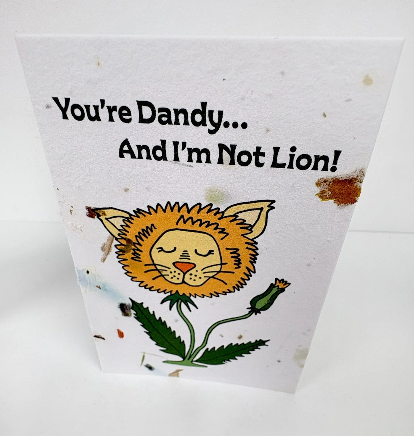 TODAY'S THE DAY! IT'S EARTH DAY and you can come make paper with us TODAY only at the Lexington Co-Op Markets at BOTH LOCATIONS!

We are so excited to announce this magical From Scraps to Seeds collaborative partnership where we are taking food and f