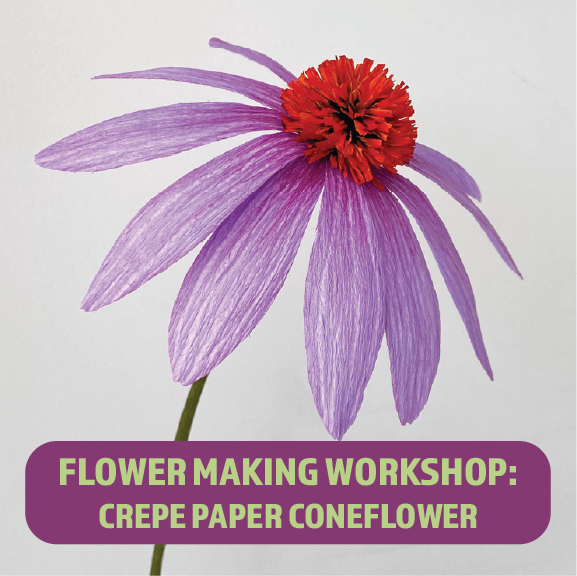 coneflower workshop NEW.png