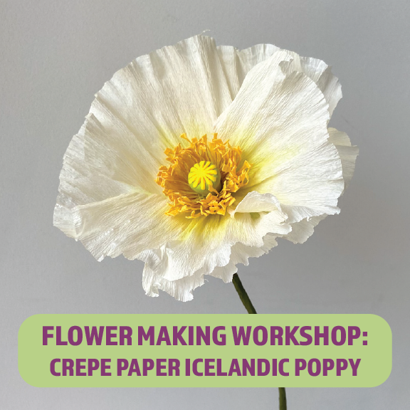 icelandic poppy workshop NEW.png