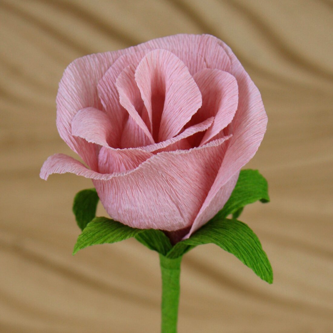 long-stem-rose-single-main.jpg