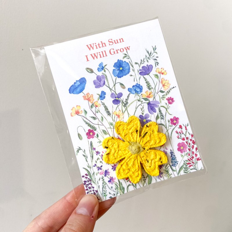 WILD FLOWER SEED BOMB