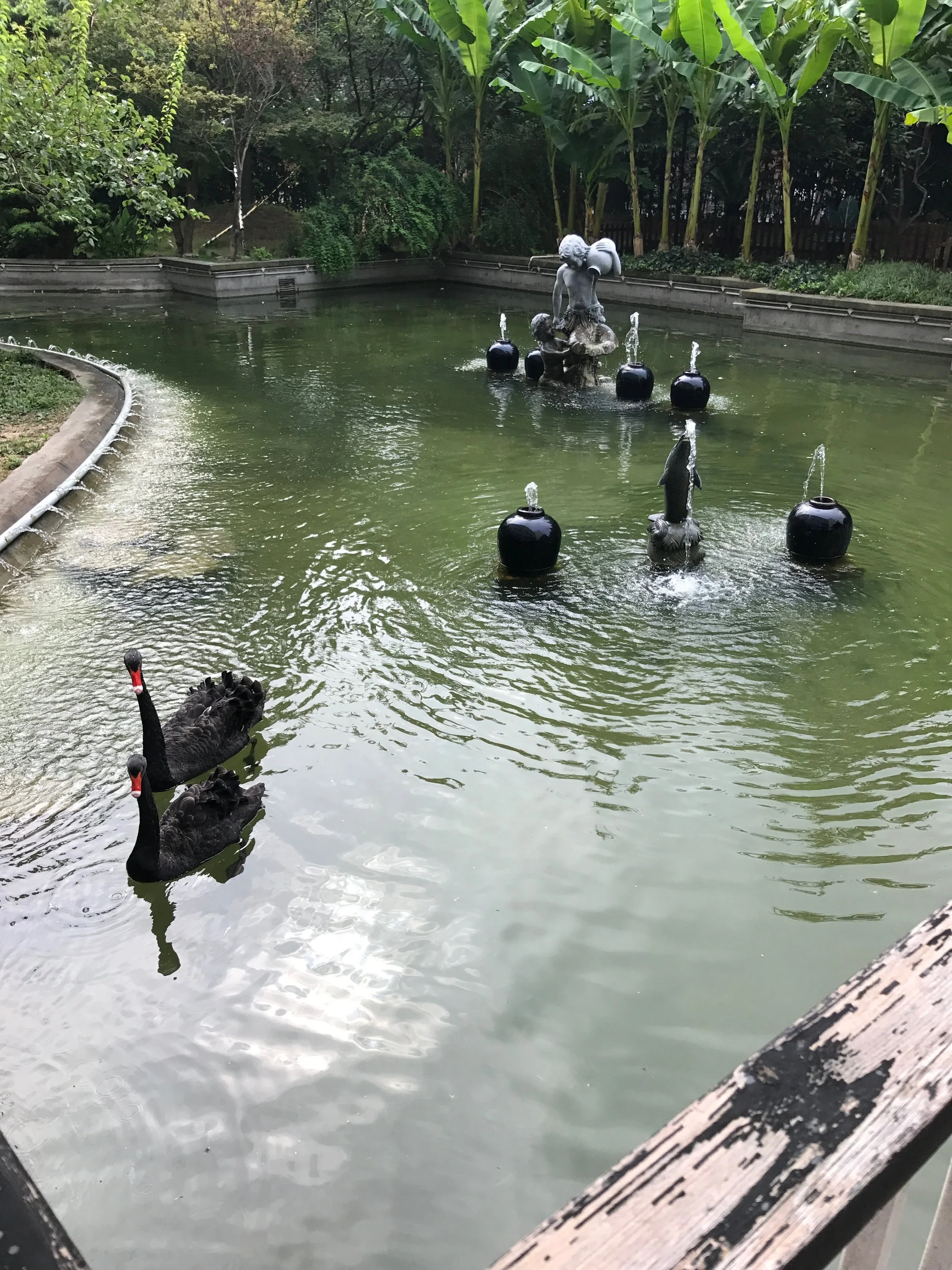 Jinan – known as the “Pearl of Springs.” We will visit the “Daming Lake Park” and “Black Tiger Spring” famous for its spring water, bubbling streams and its breathtaking beautiful scenery. The nearby rockery, corridors, pavilions, leafy trees and twittering birds form a great resort.