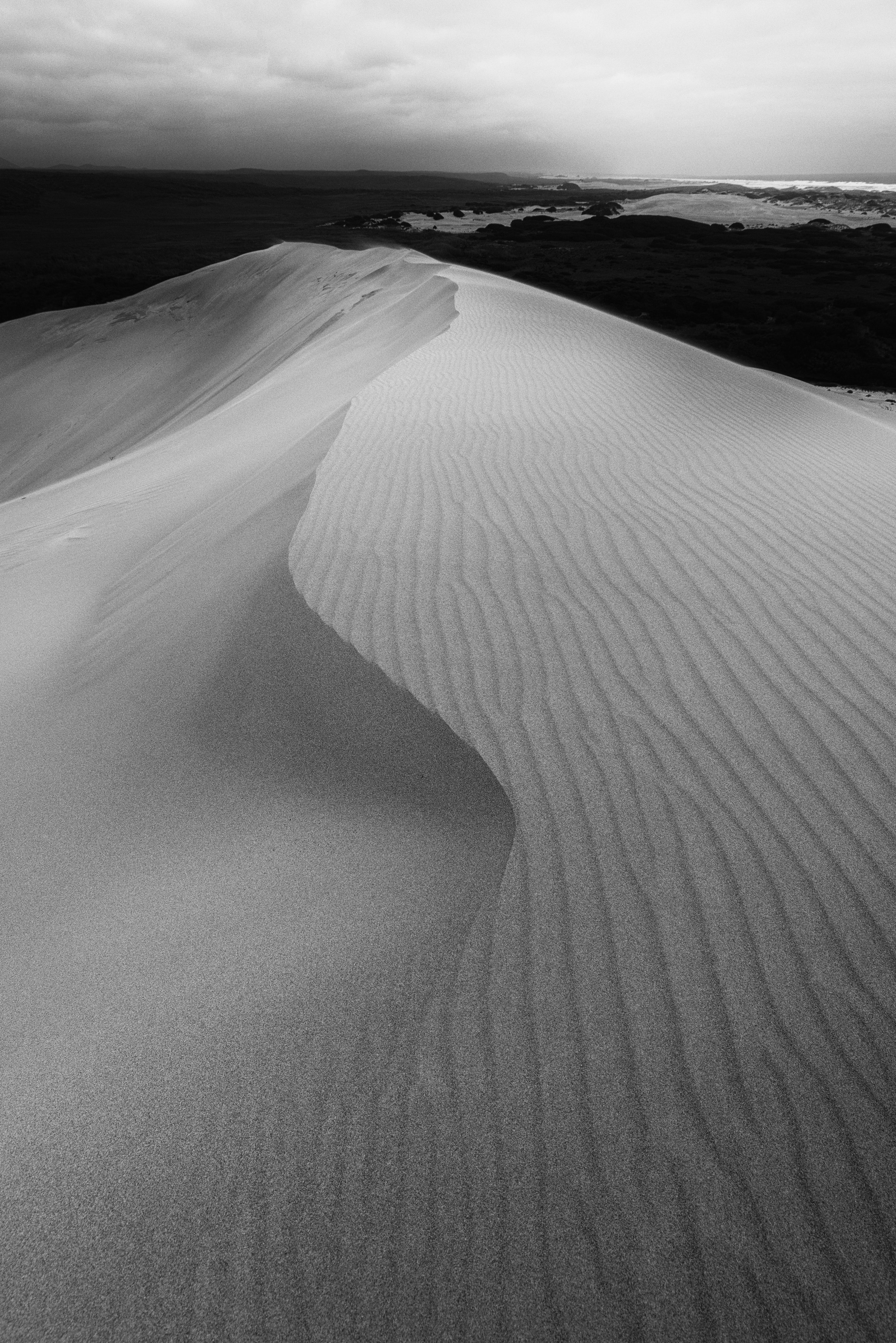 _B7A7565-Edit-2-Edit-Edit (Custom).jpg