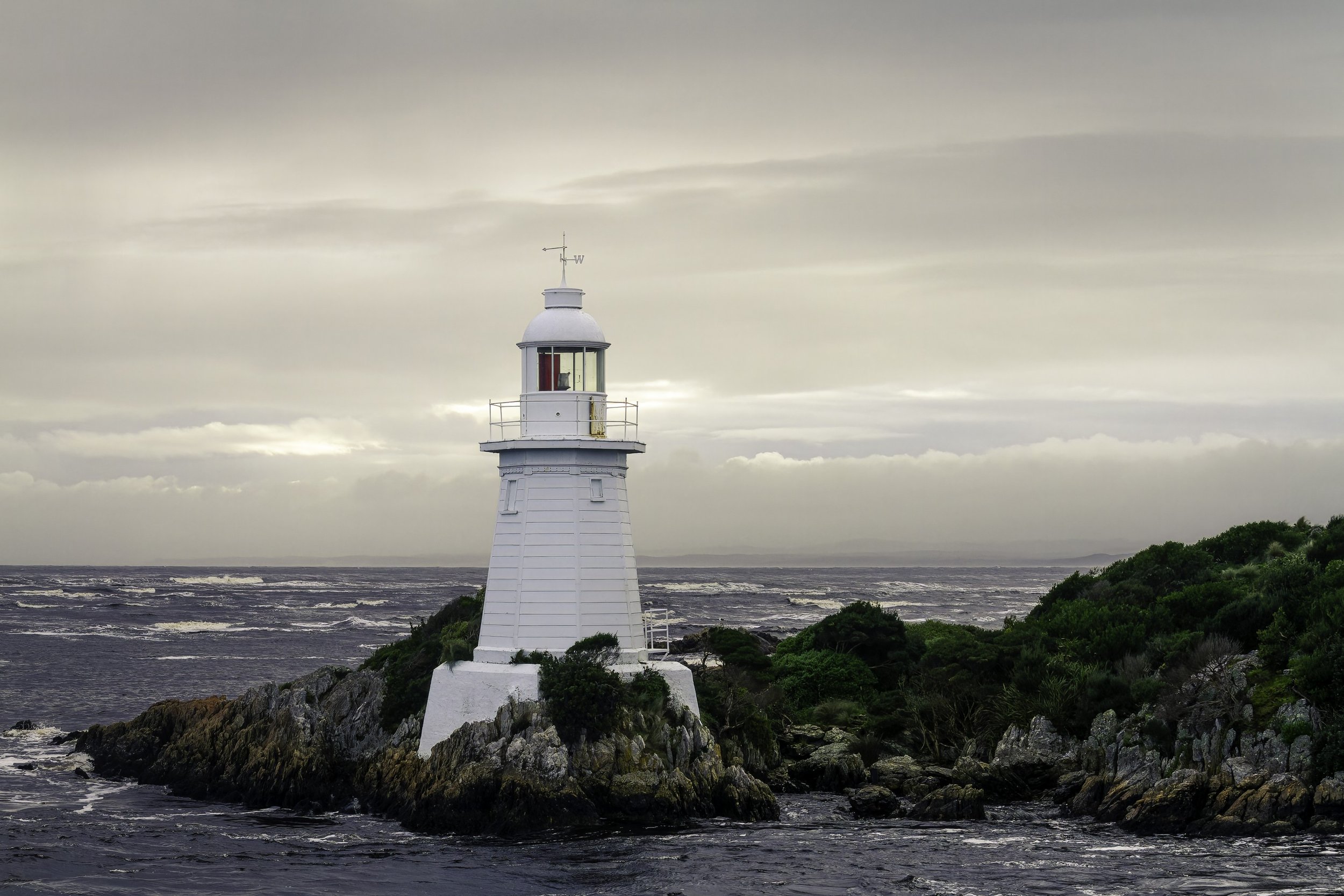 IMG_1272-CR2_DxO_DeepPRIMEXD-2 (Custom).jpg