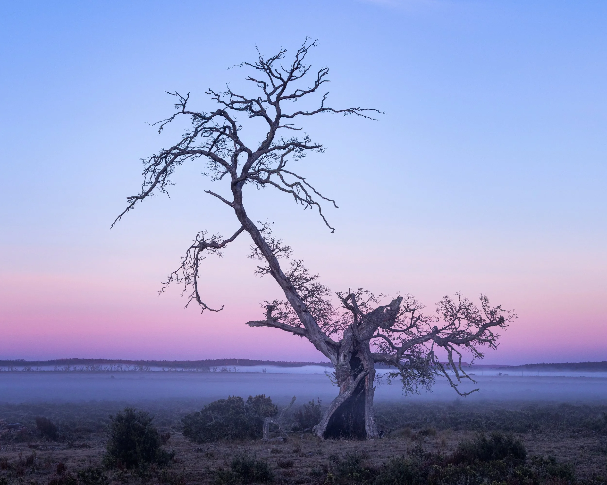 _B7A0195-Edit.jpg