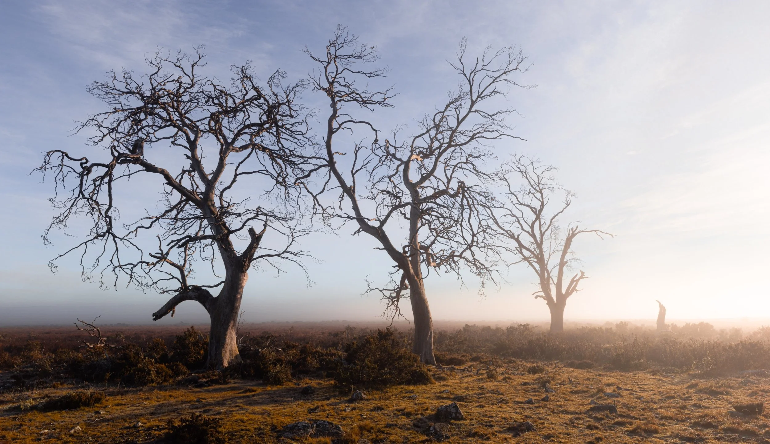 _B7A8592-Edit (Custom).jpg