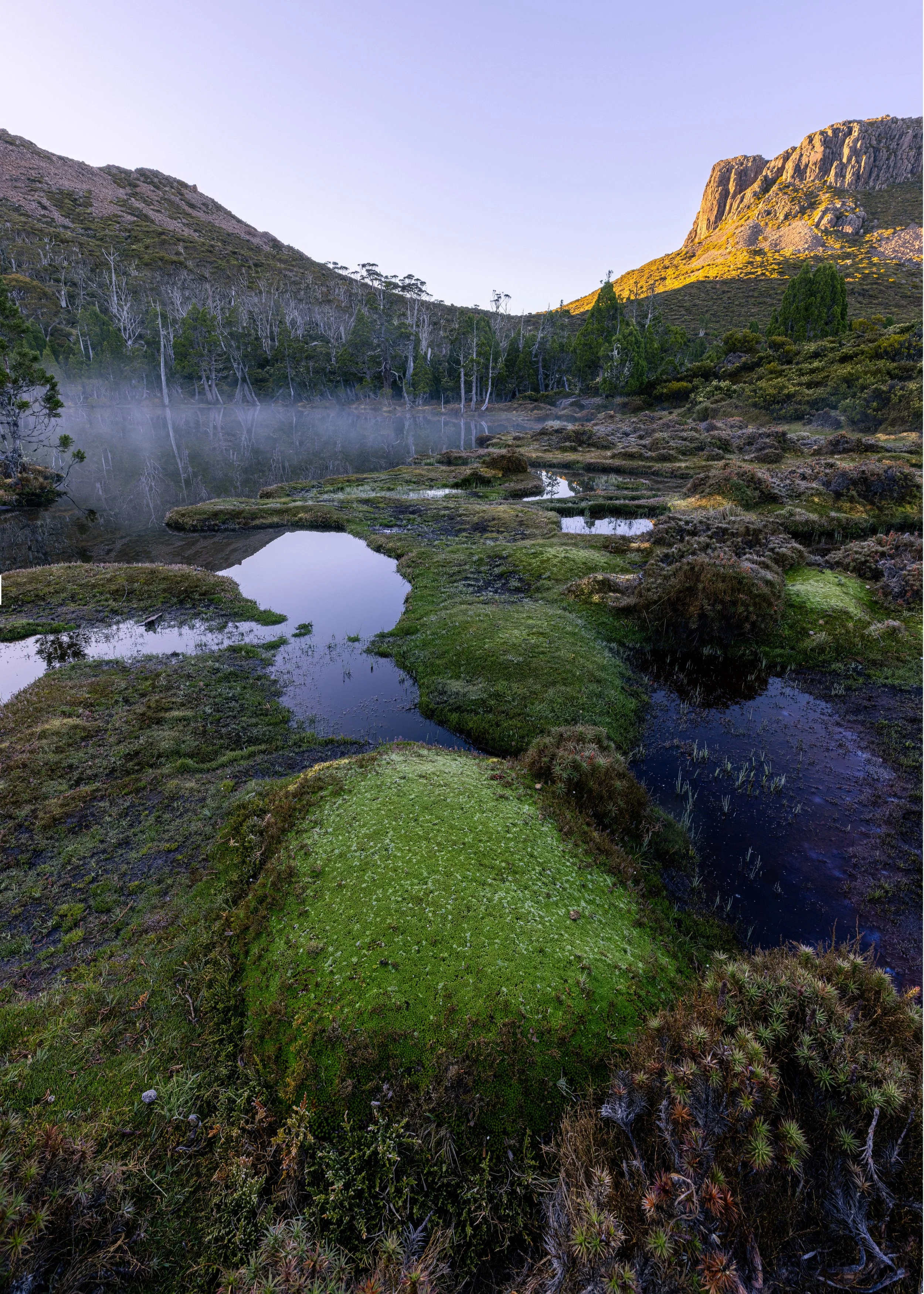 _B7A6423-HDR-Edit (Custom).jpg