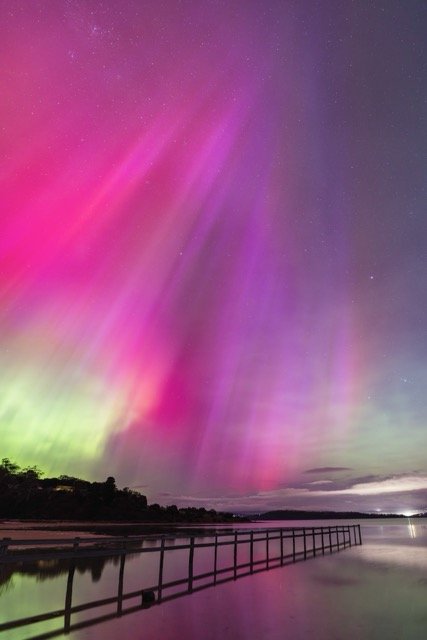 	
Southern lights over the water with trees and a pier in the foreground.