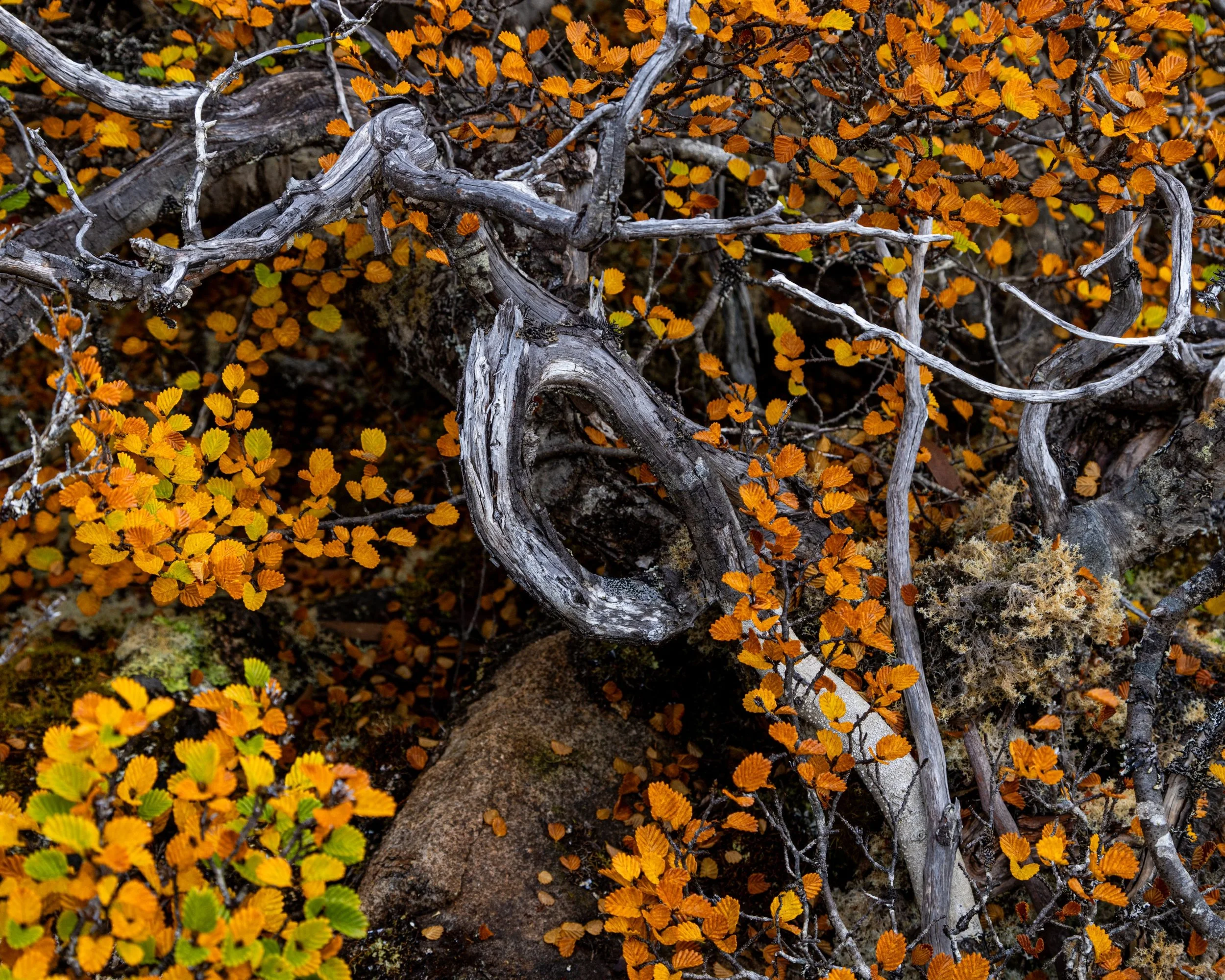 _B7A8224 (Custom).jpg