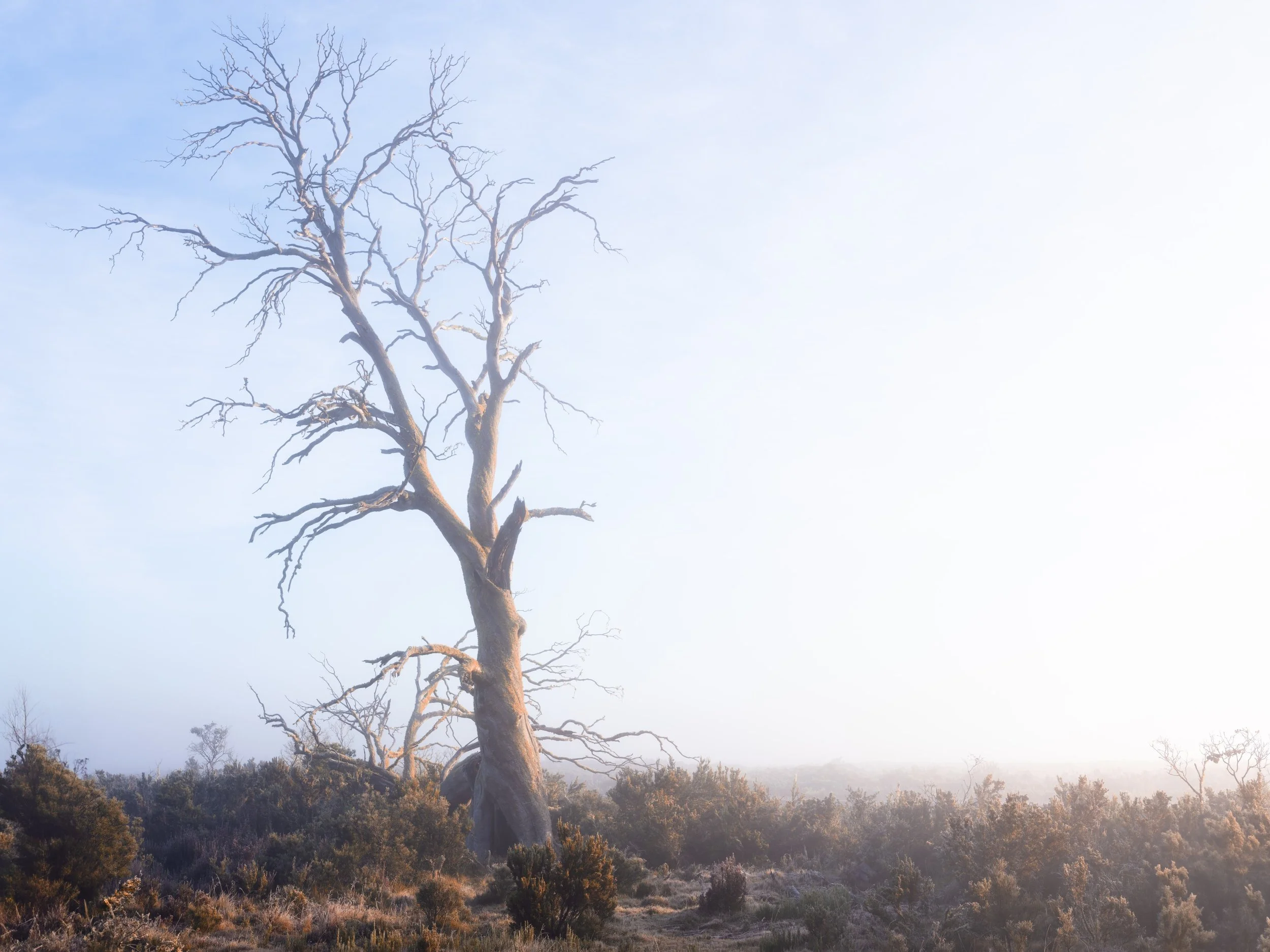 DSCF9856-Edit (Custom).jpg