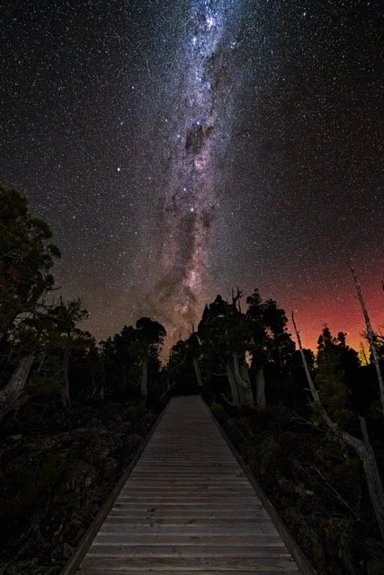 Night sky with visible stars and the Milky Way galaxy, viewed from a wooden walkway through a dark forest with silhouetted trees.