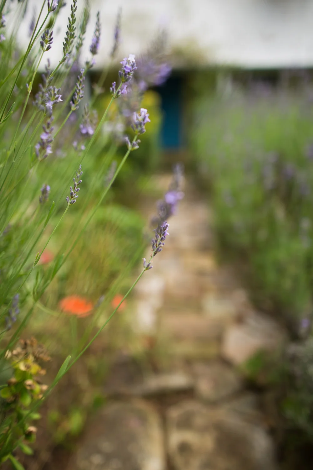 CINDYCAVANAGH-youlookprettymumweb (33 of 36).JPG