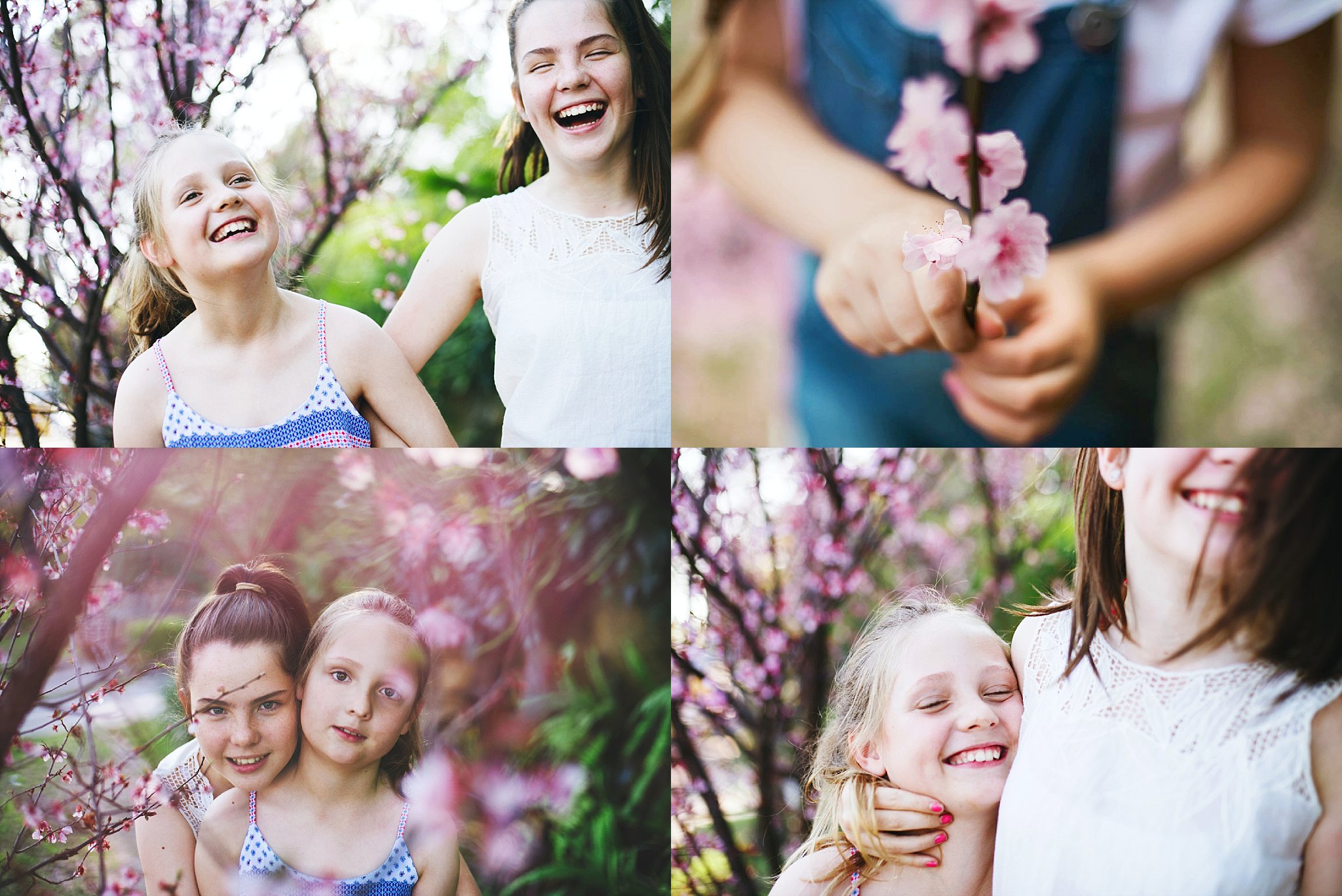 Blossoms in spring! Even the smallest trees can create a gorgeous background. Found during the school run.