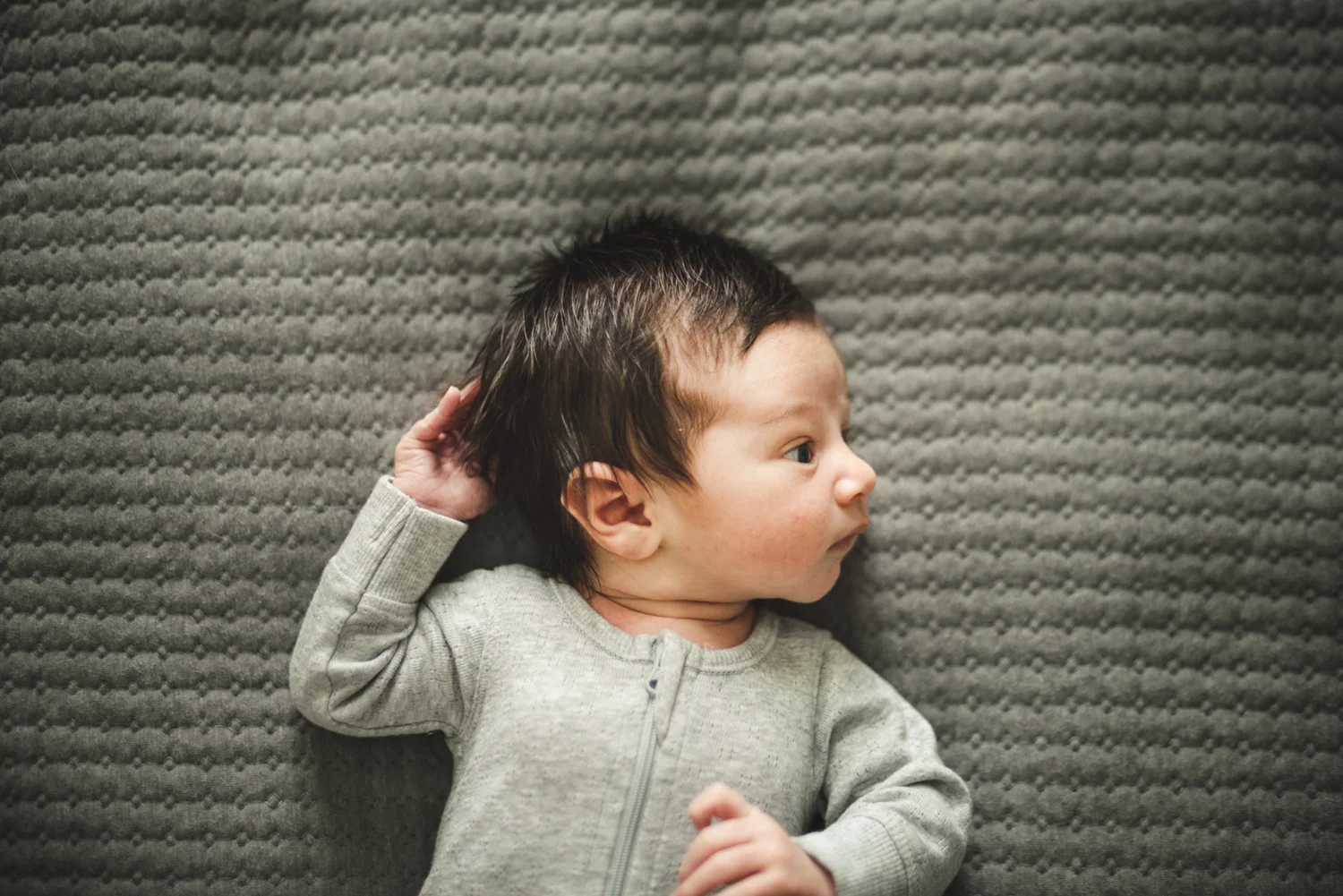 cindycavanagh-newborn-photos-in-sydney (45 of 58).jpg