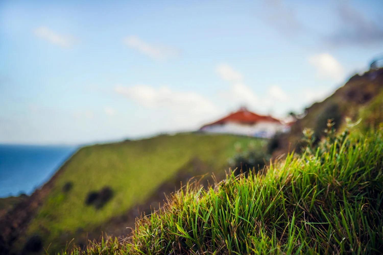 Hills District Sydney Lifestyle photographer - 5 ways to nourish your creativity