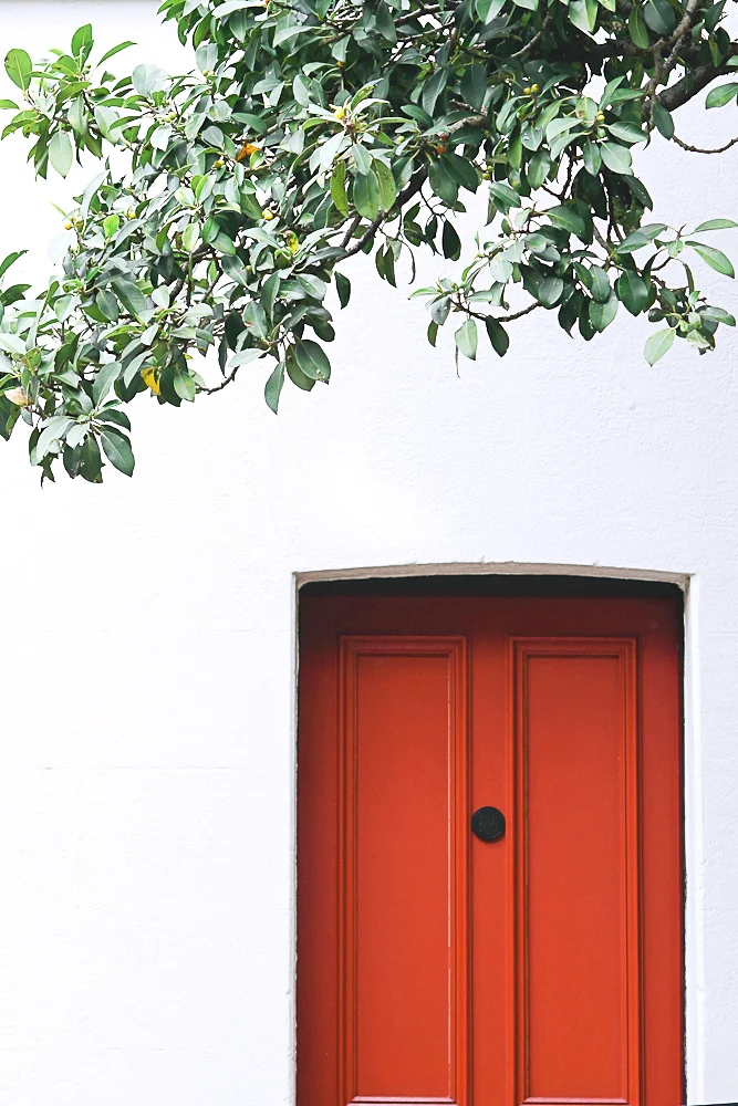 lifestyle-photography-sydney-red-door-and-white-wall