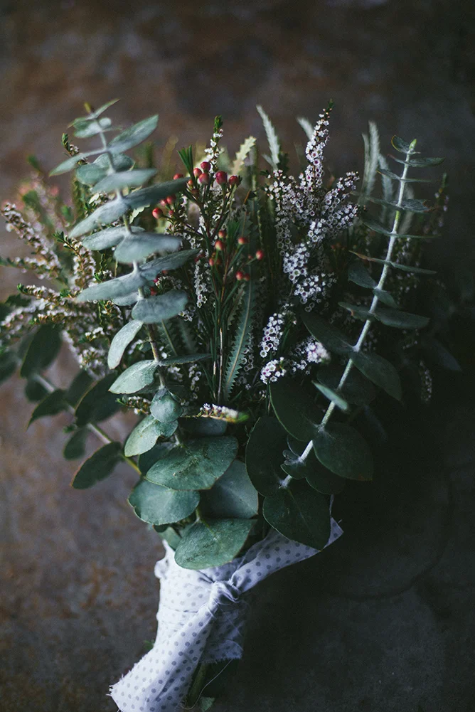 australian-lifestyle-photographer-bunch-of-natives