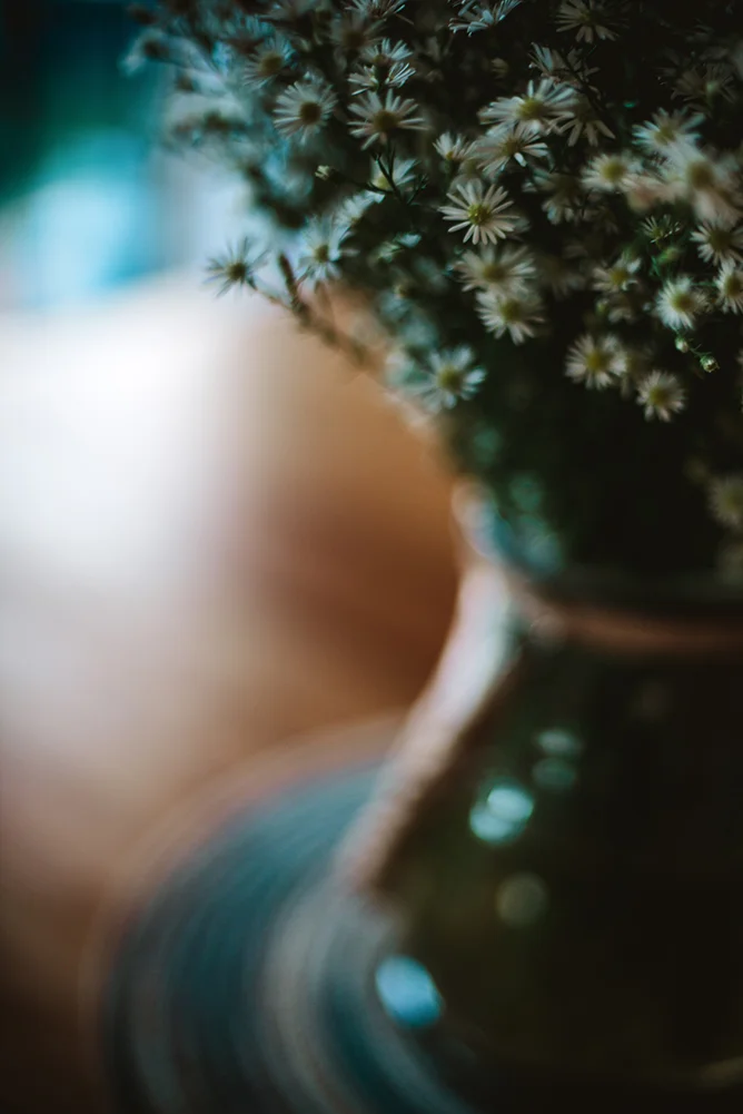 #herwildandpreciouslife: week17 