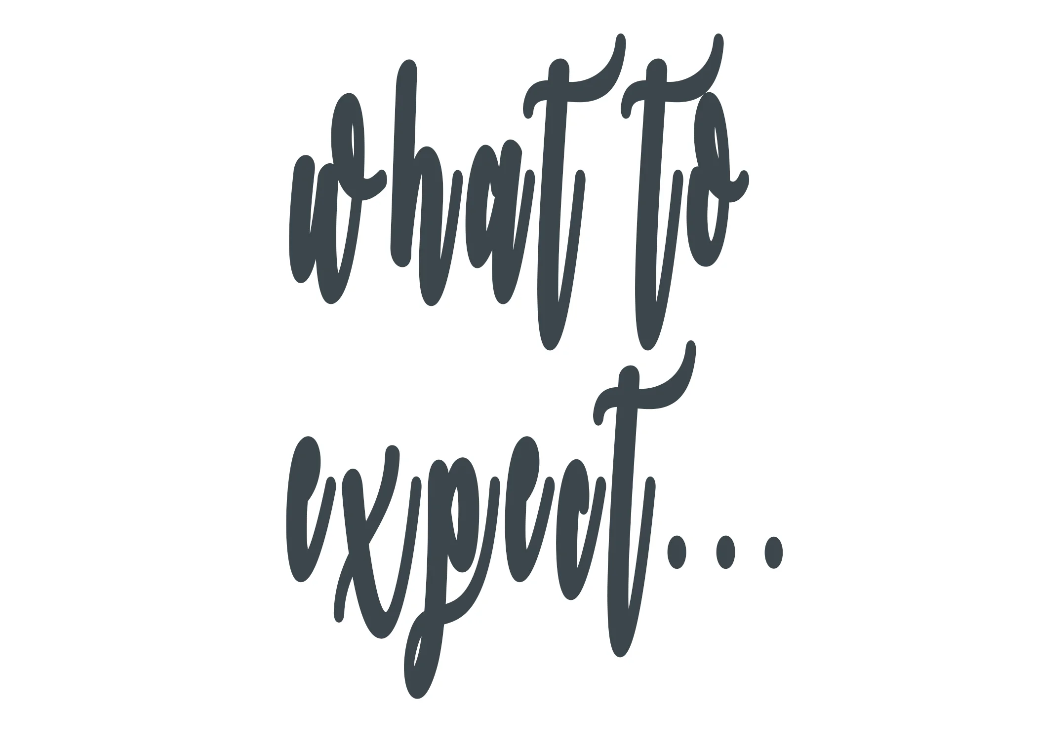 expect.jpg