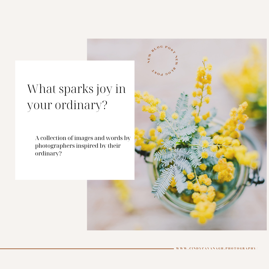 WHAT SPARKS JOY IN YOUR ORDINARY?