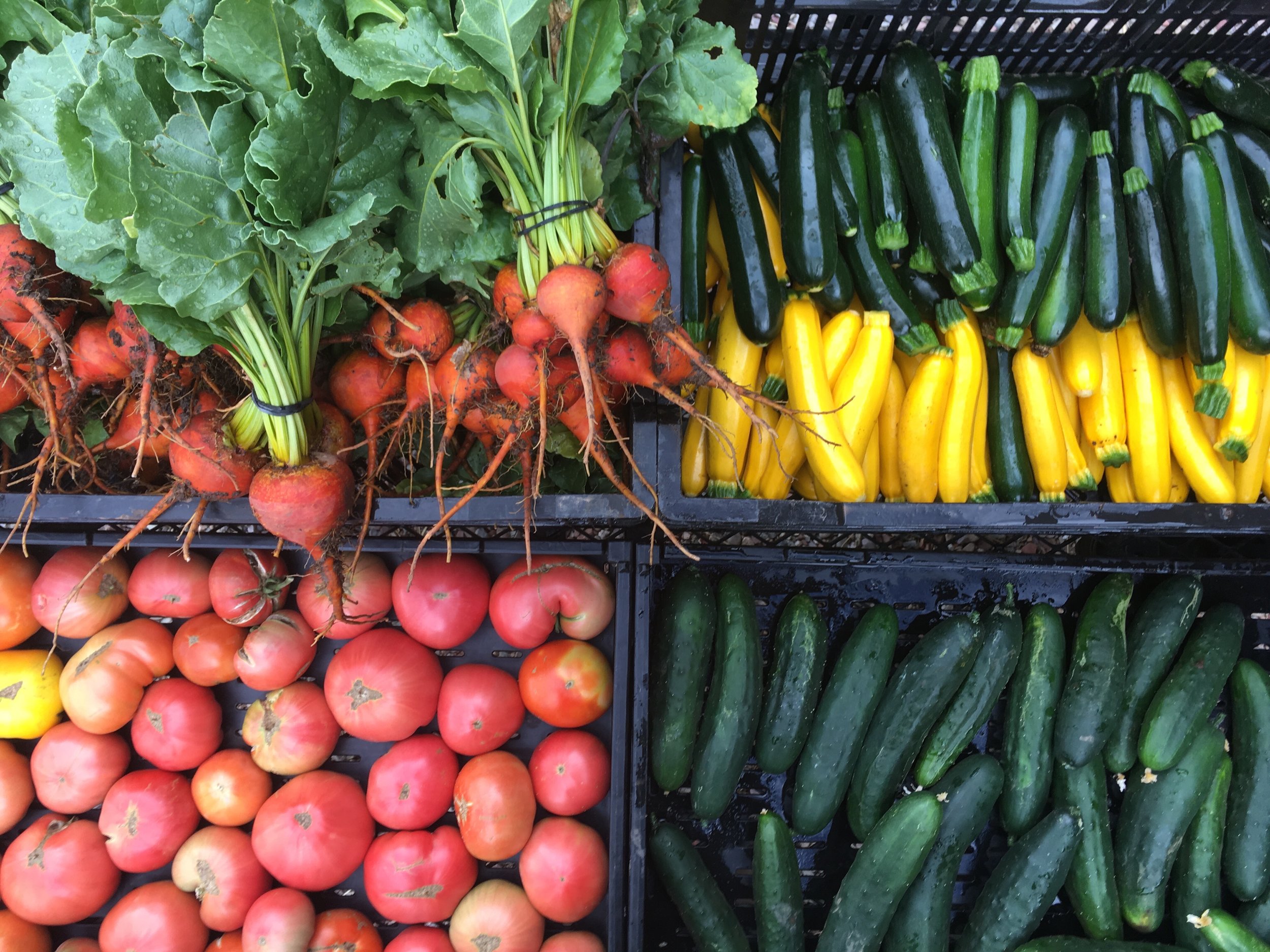 Each week there will be 8-12 crops to choose from.