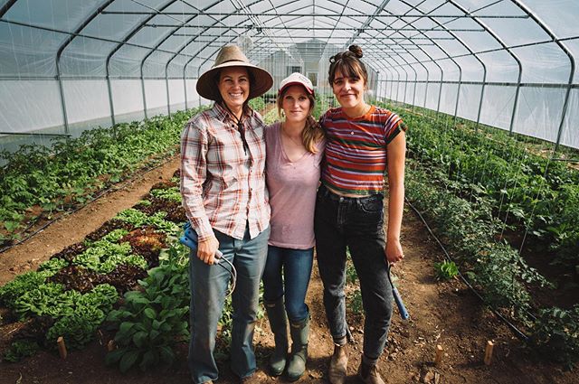 two roots lady tribe 💪🏽💪🏽💪🏽thanks for this powerful photo @wallace.photo! this photo was taken back in may... the green house babies were so little! it’s the middle of july, can you believe it!? we can’t. in the midst of it all, we are feeling so much support and love. thanks for sharin in the groove 👩🏻🌾👩🏼🌾👩🏽🌾 #tworoots #farmher #love #local
