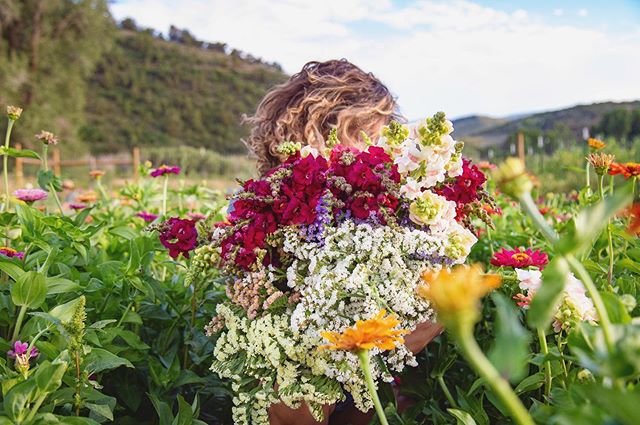 golden hour harvest 🧡🌈🌸 🌱#tworootsfarm #flowerlove #happyharvest #thosesnapsdoe📸: @ratherroamproductions