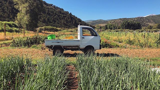 well that’s freakin cute 🌱 🌈#farmlife #bestlife #tworootsfarm #flowertown #notourtruck