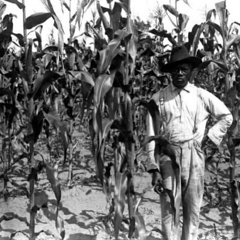 155 years ago the plan to give newly-freed families &ldquo;forty acres and a mule&rdquo; was among most significant promises made &ndash; and broken &ndash; to African Americans. 
This broken promise not only robbed Black Americans of a path to finan