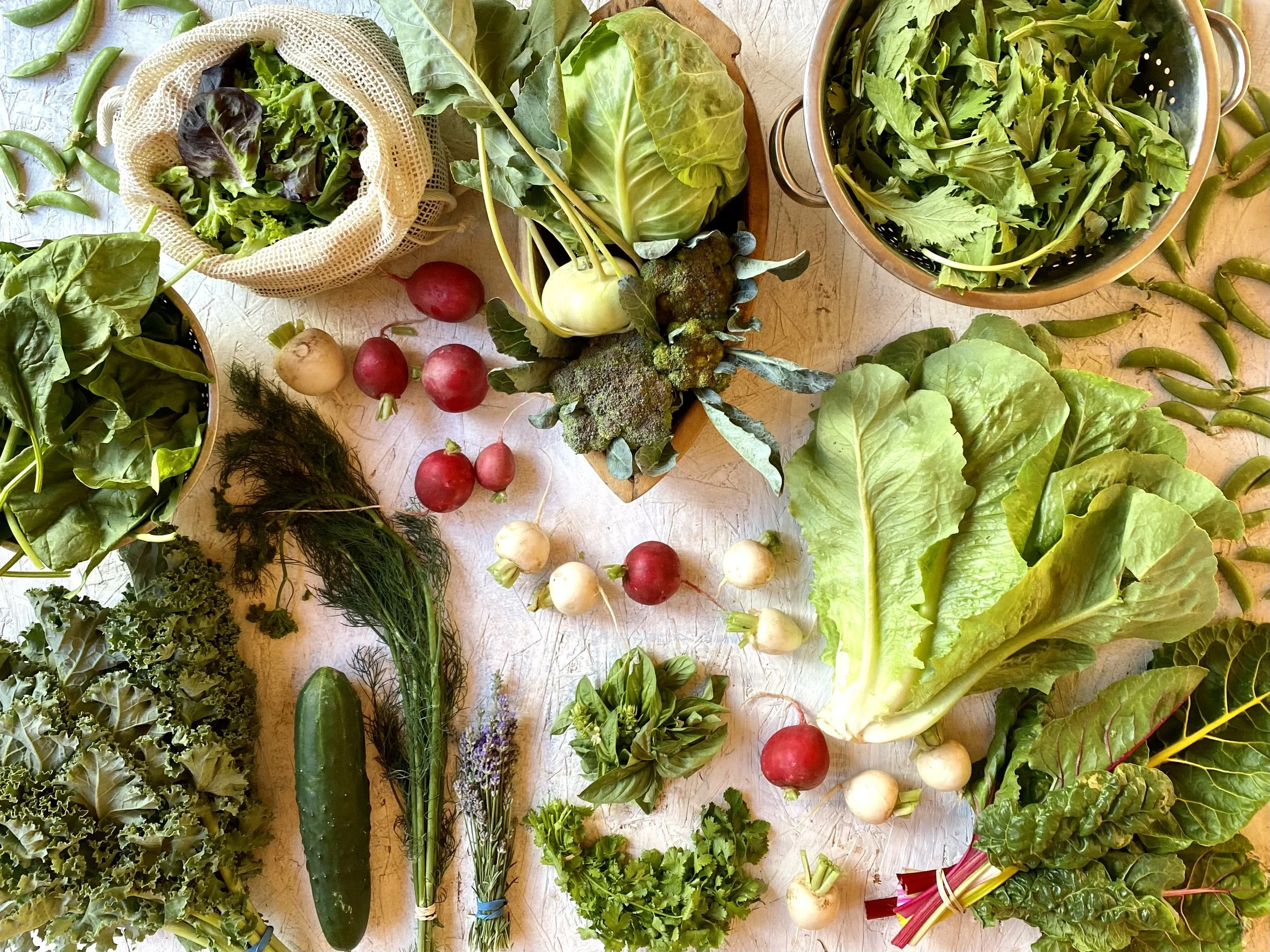 Two Roots Farm CSA — Two Roots Farm