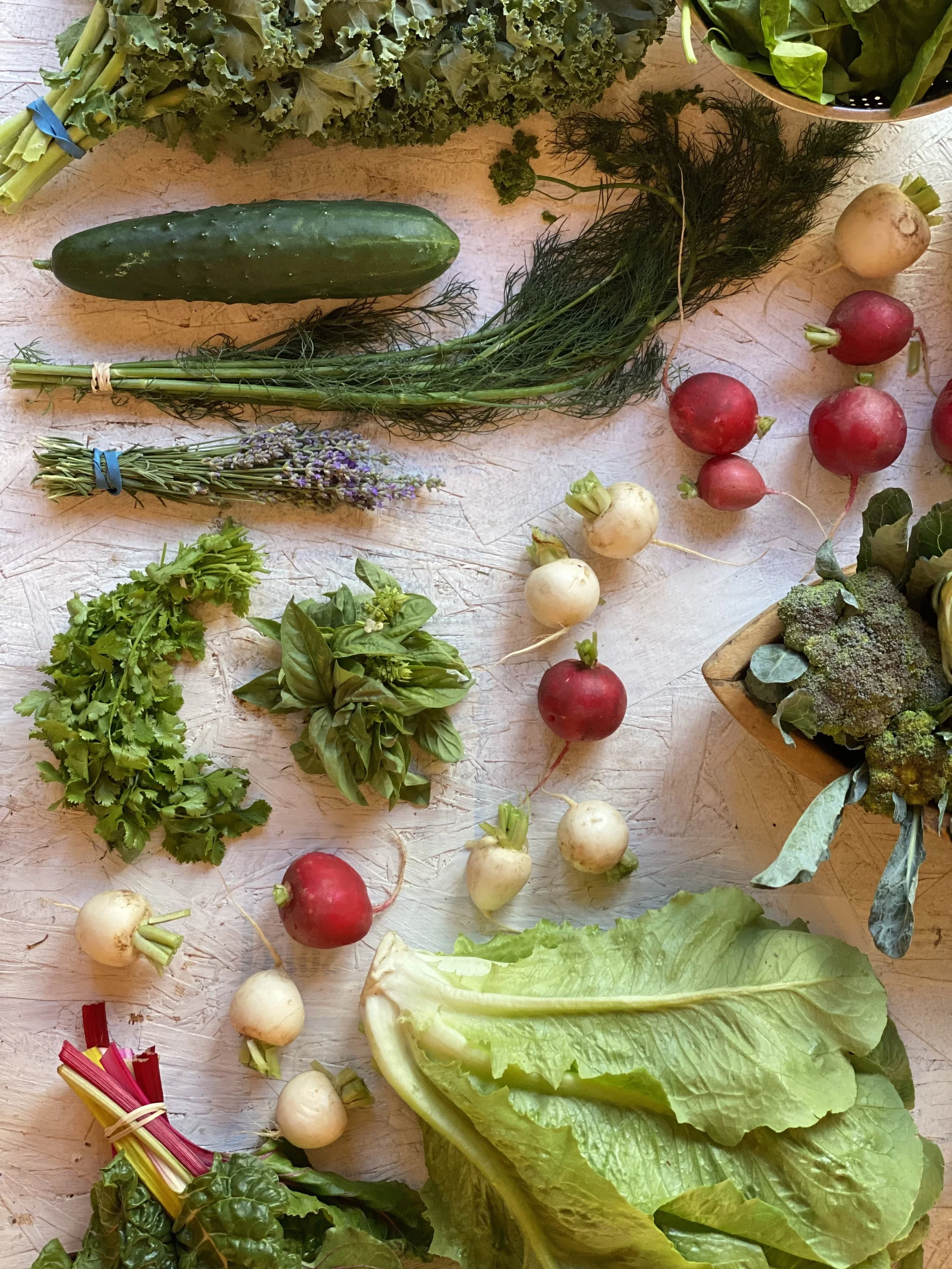 Two Roots Farm CSA — Two Roots Farm