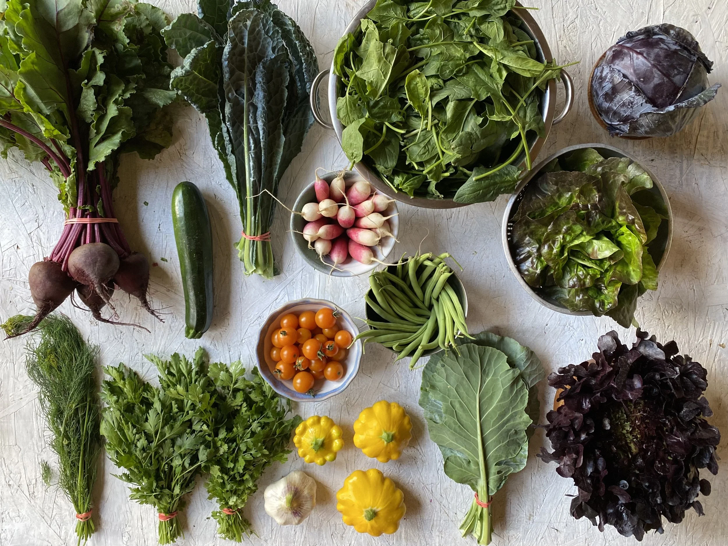 Two Roots Farm CSA — Two Roots Farm