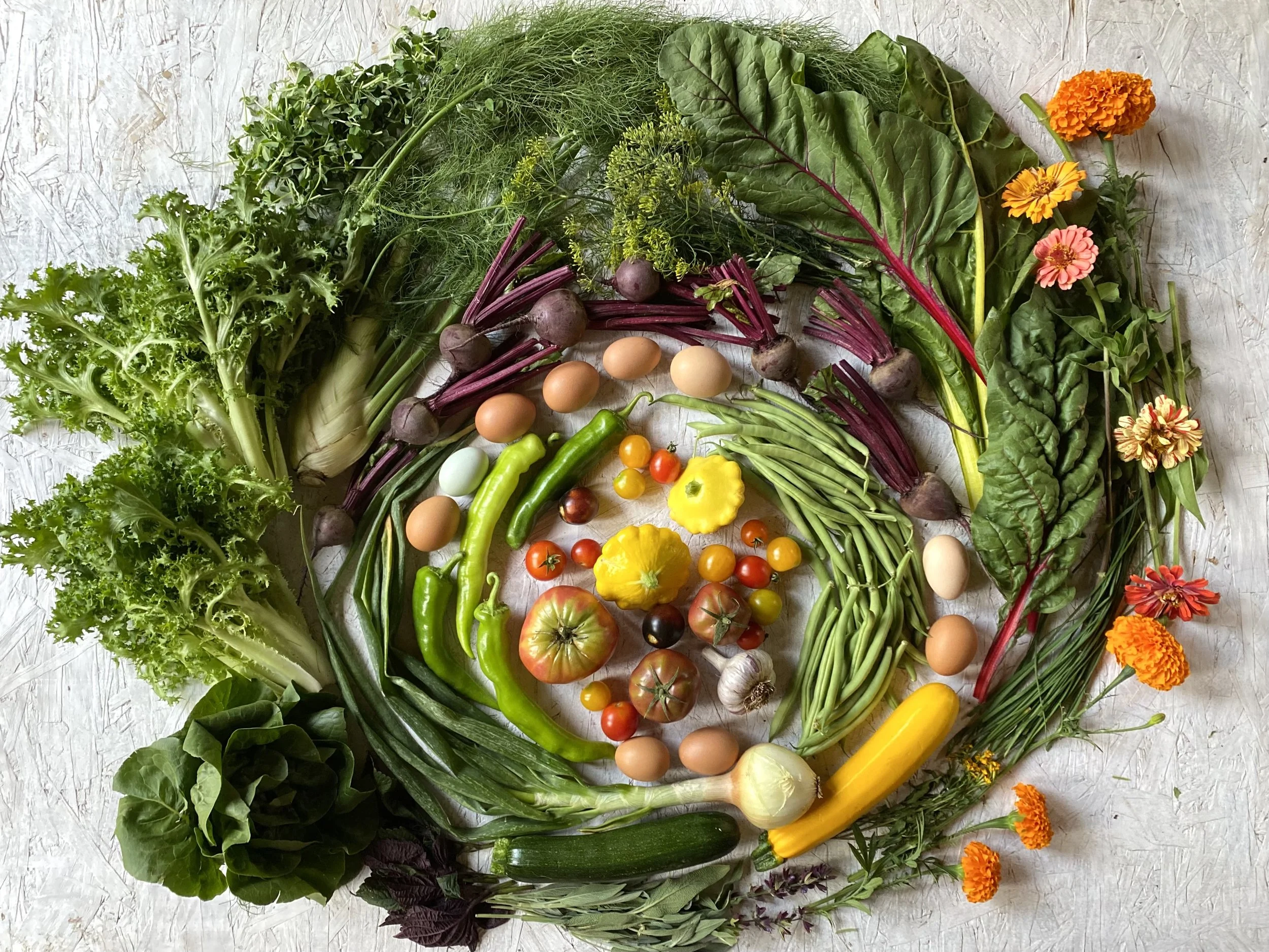 Two Roots Farm CSA — Two Roots Farm