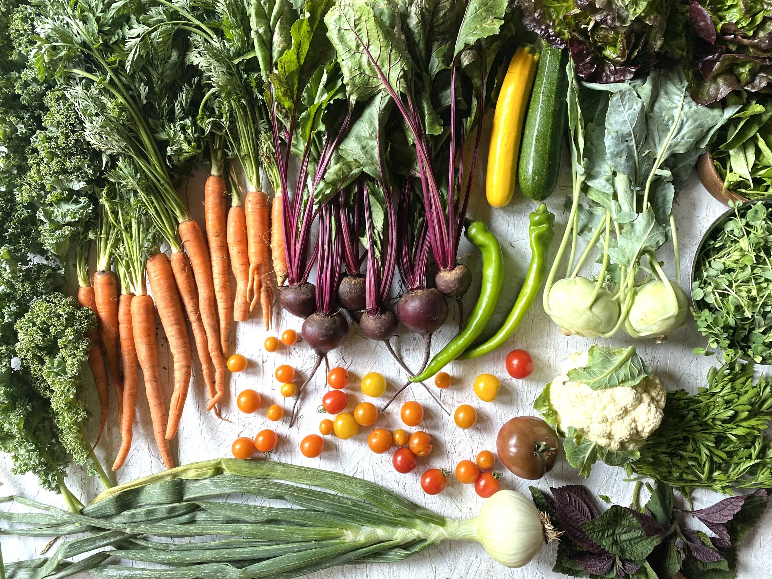 Two Roots Farm CSA — Two Roots Farm