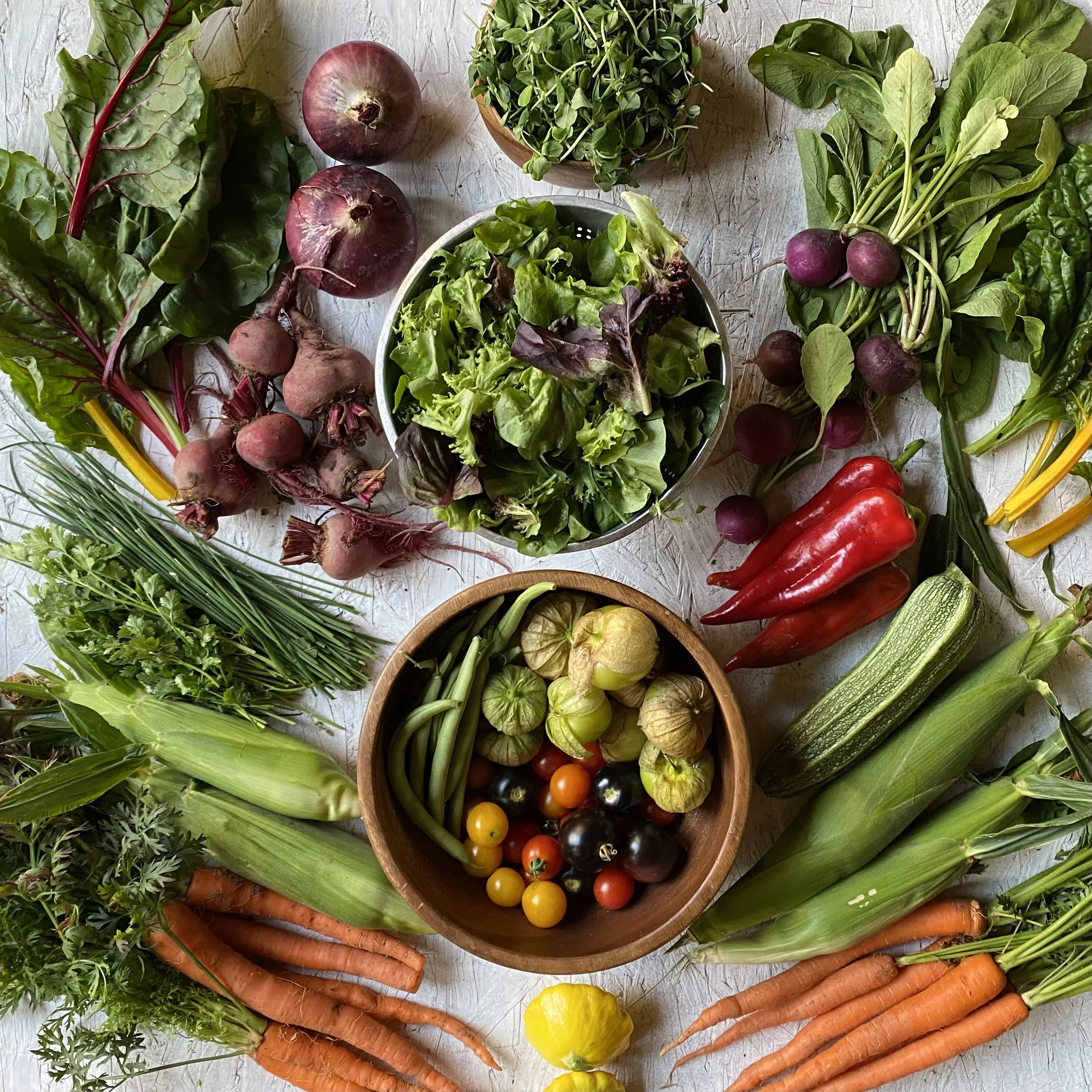 Two Roots Farm CSA — Two Roots Farm