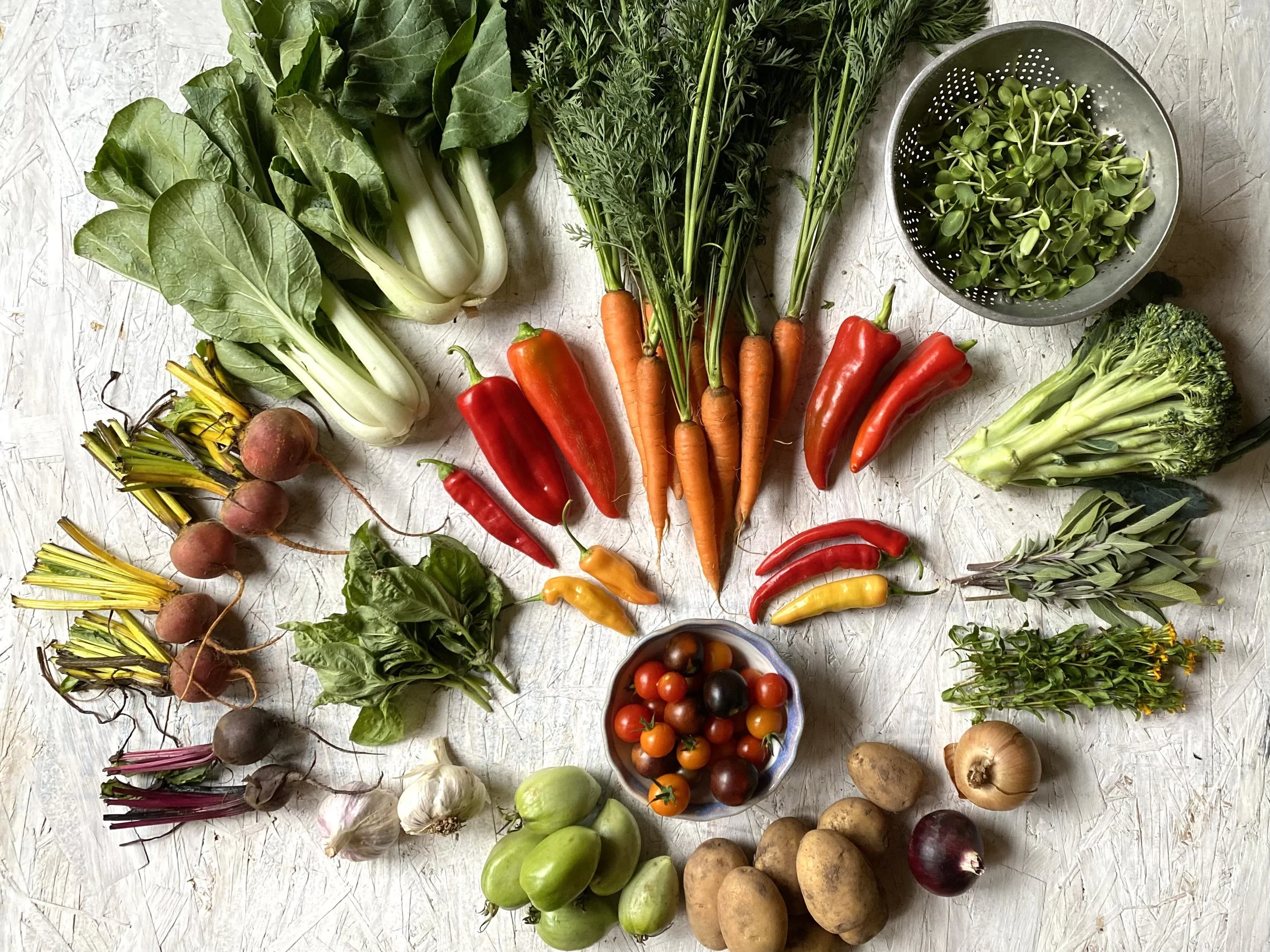 Two Roots Farm CSA — Two Roots Farm