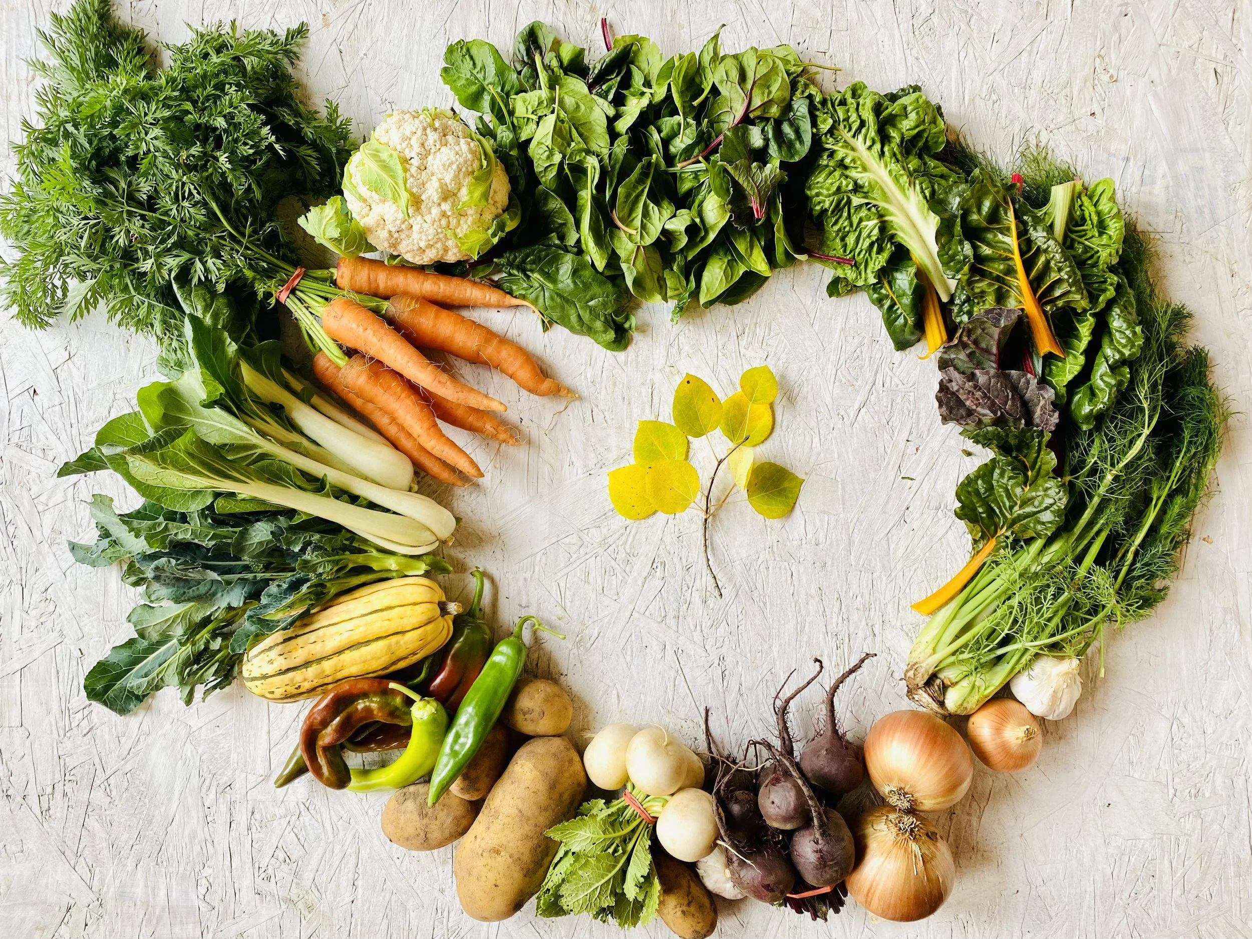 Two Roots Farm CSA — Two Roots Farm