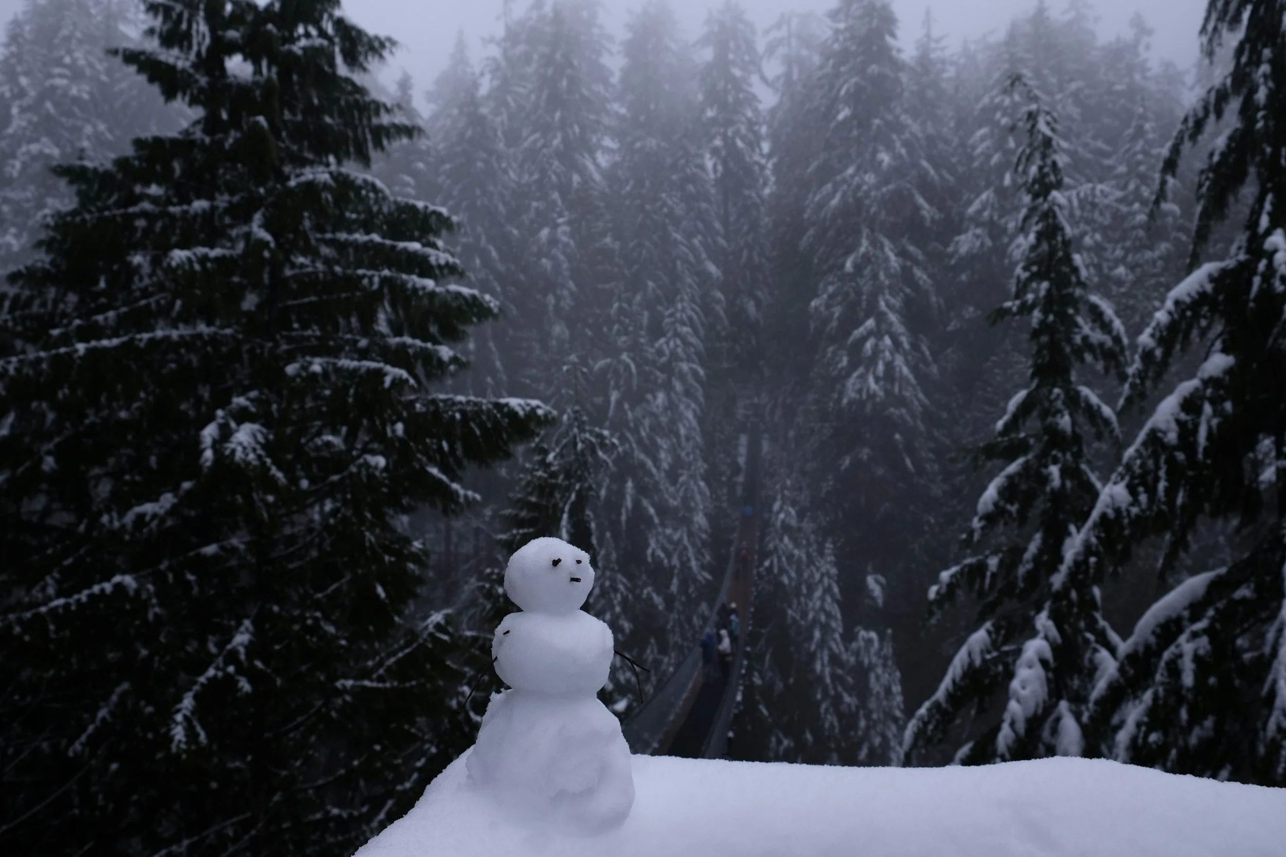 Let It Snow!!!