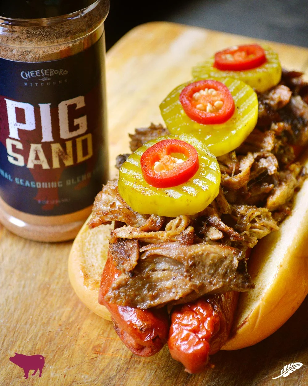 pig_sand-170630-pigout-dog-1-1247.jpg