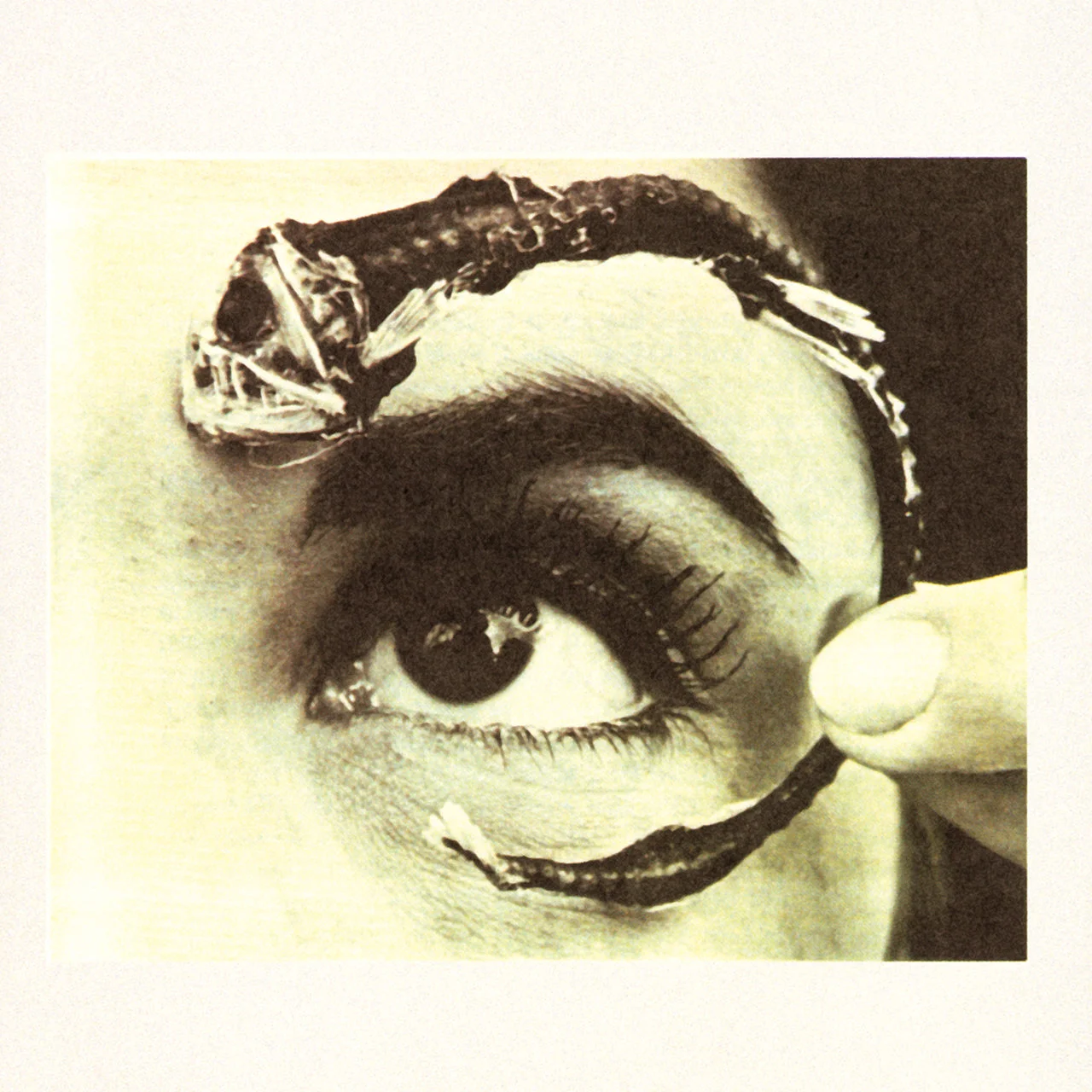 Episode 24.5: Faith No Mr. Bungle - The Mike Patton 5pecial
