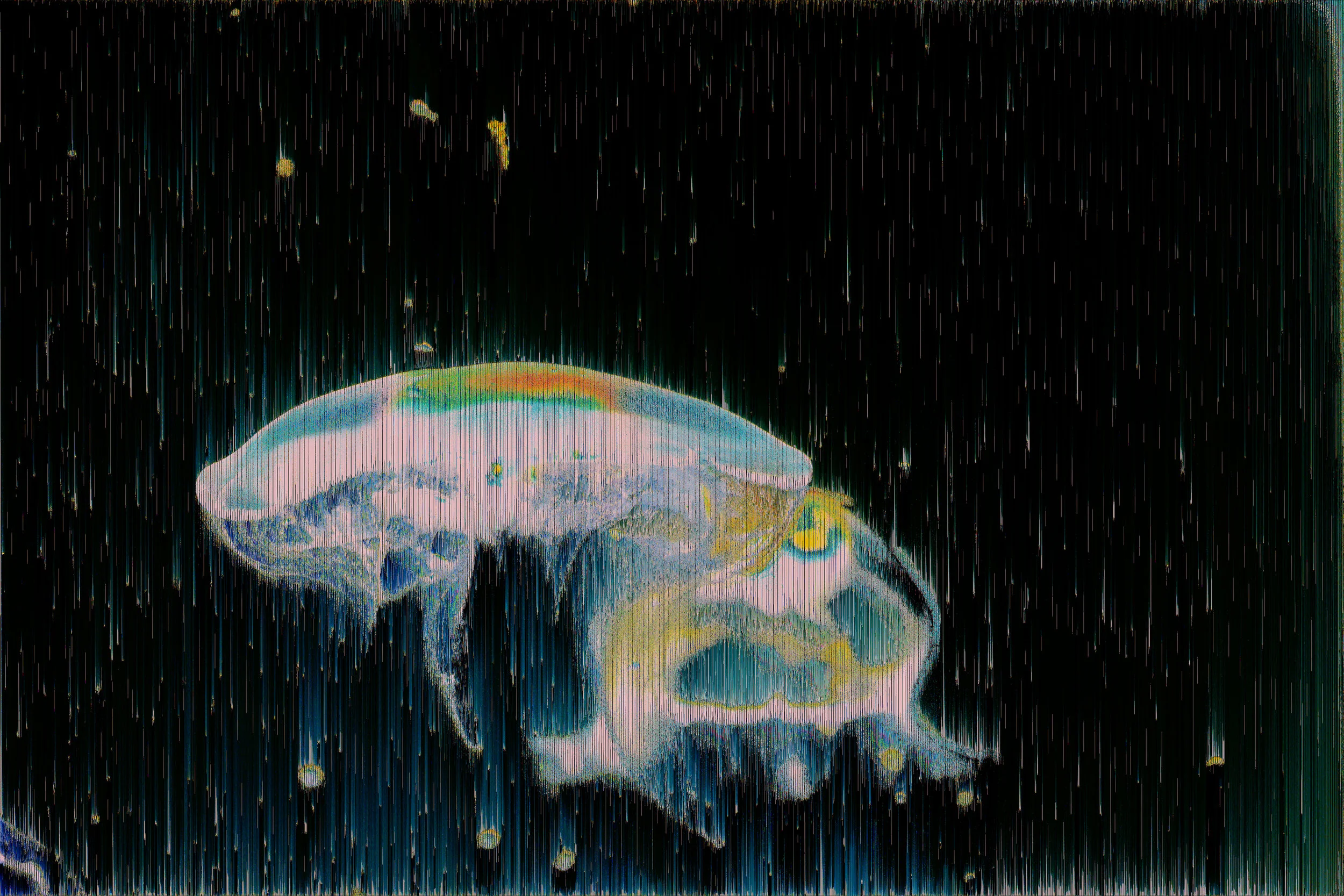 241/365