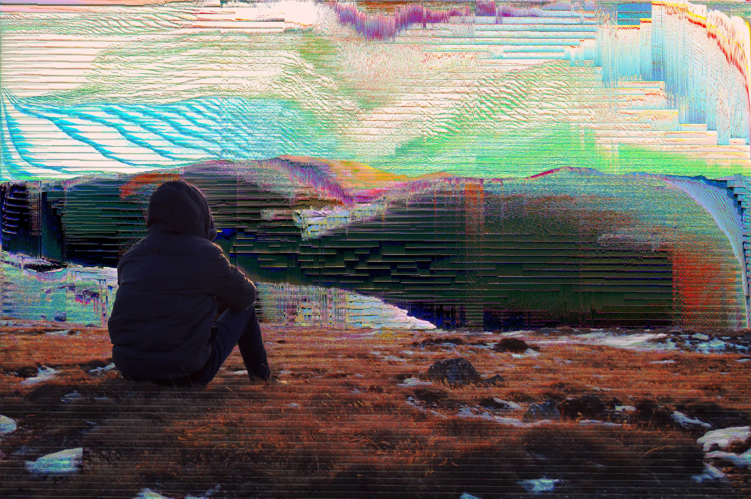 279/365