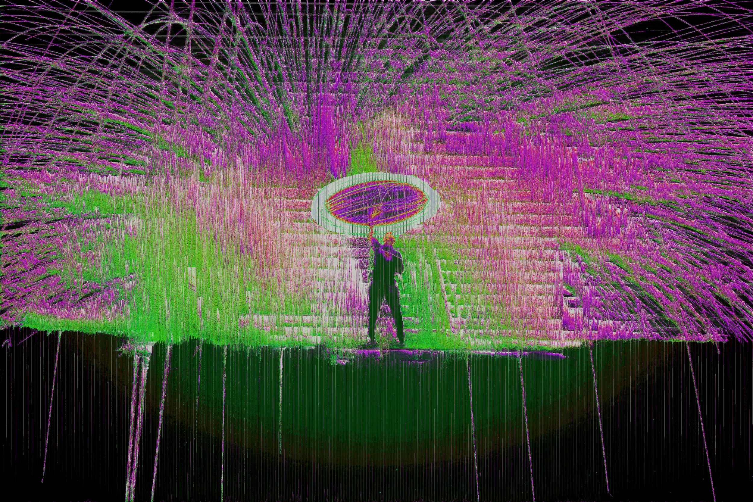 295/365