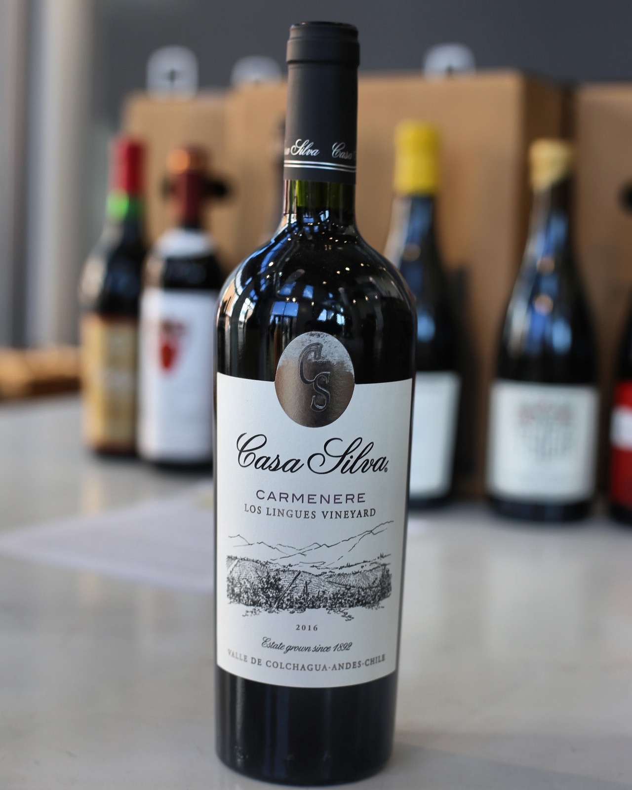 12 Wines for the Holidays: For the Indie Adventurer