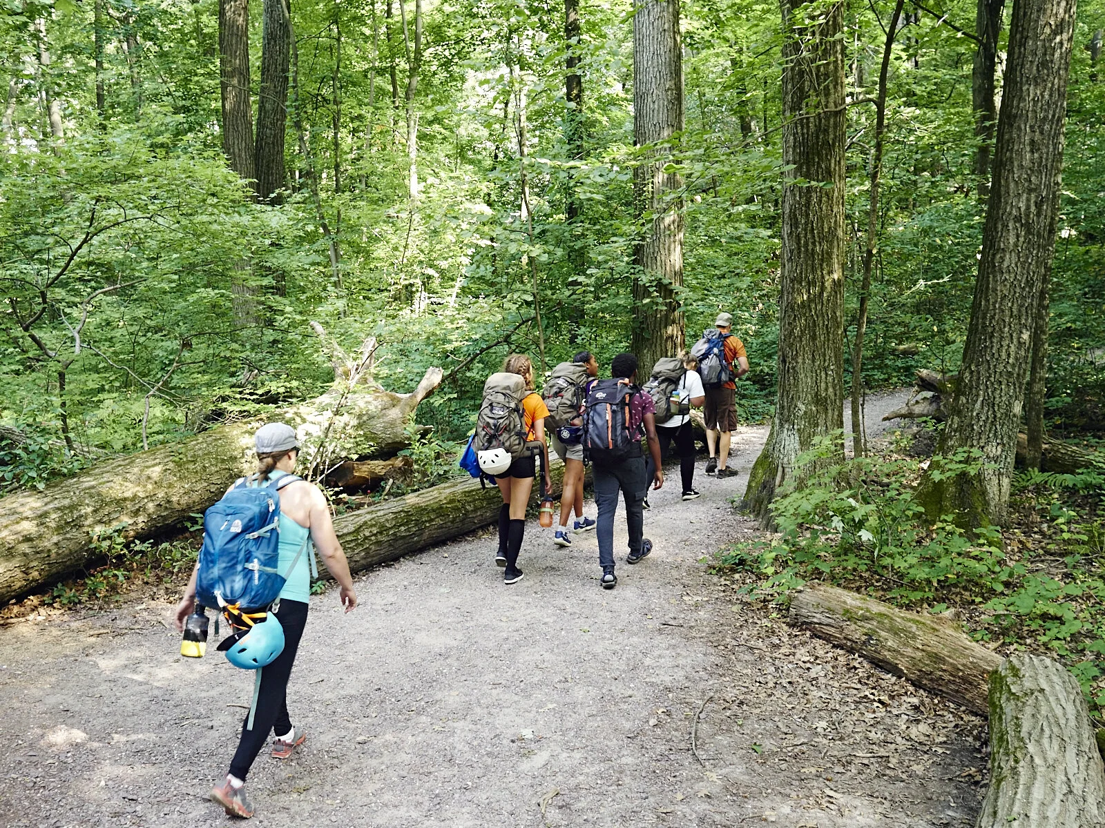 HikingWoods.jpg