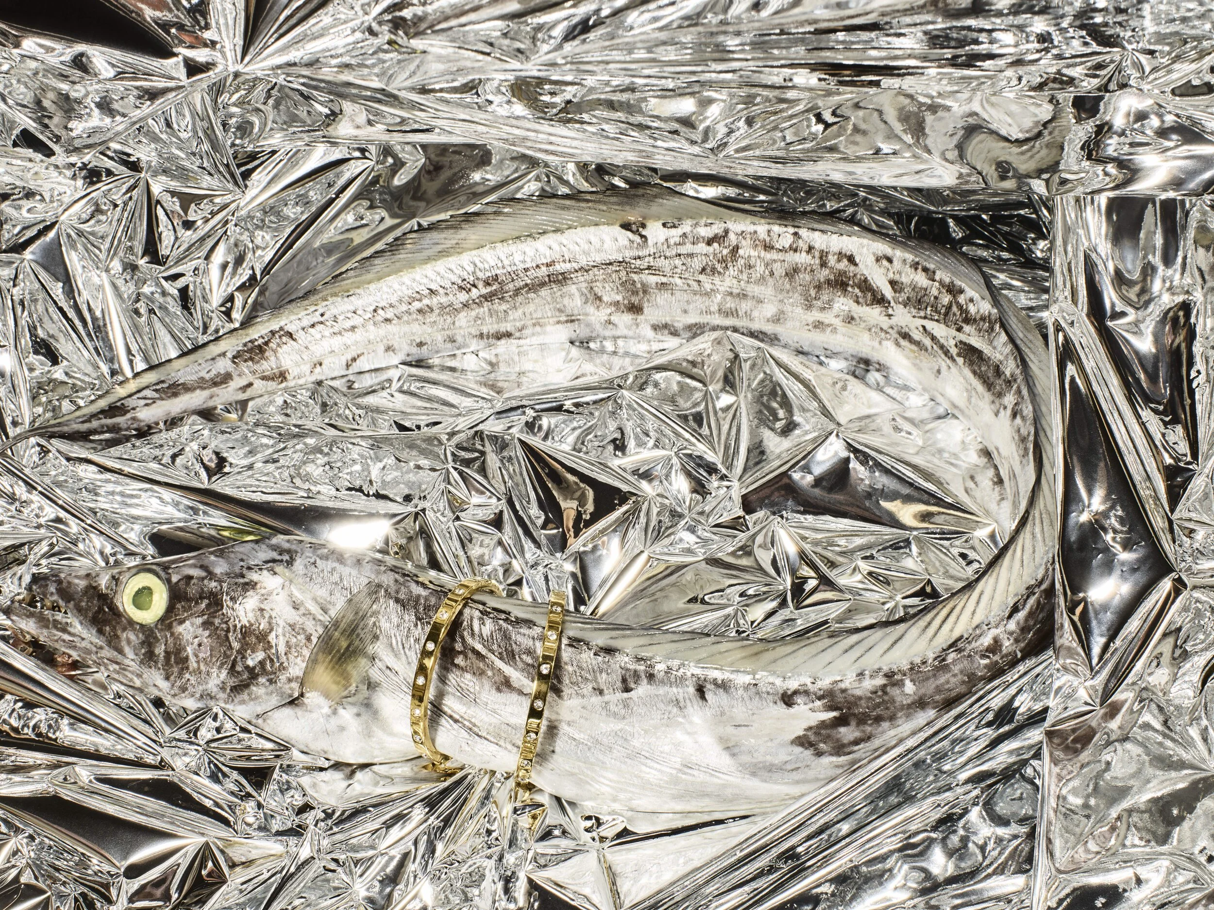 2021_02_24_Fish_Fest-0137.jpg